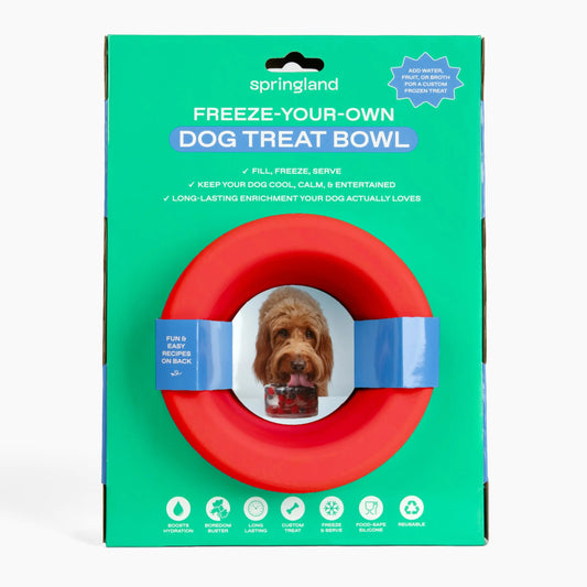 Freeze-Your-Own Dog Treat Bowl