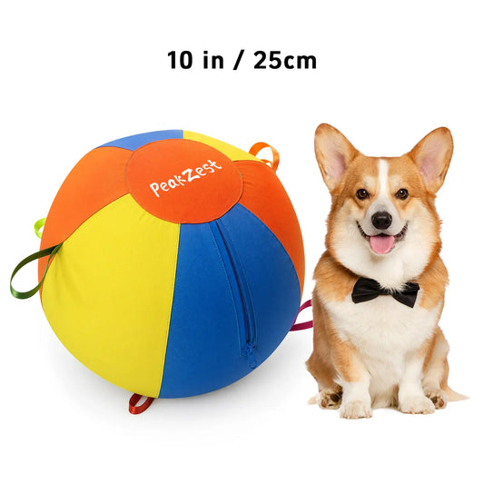 Interactive Herding Ball for Dogs, Bite Resistant Inflatable Dog Ball Set with Cover and Pump, Outdoor Exercise Toy Gift