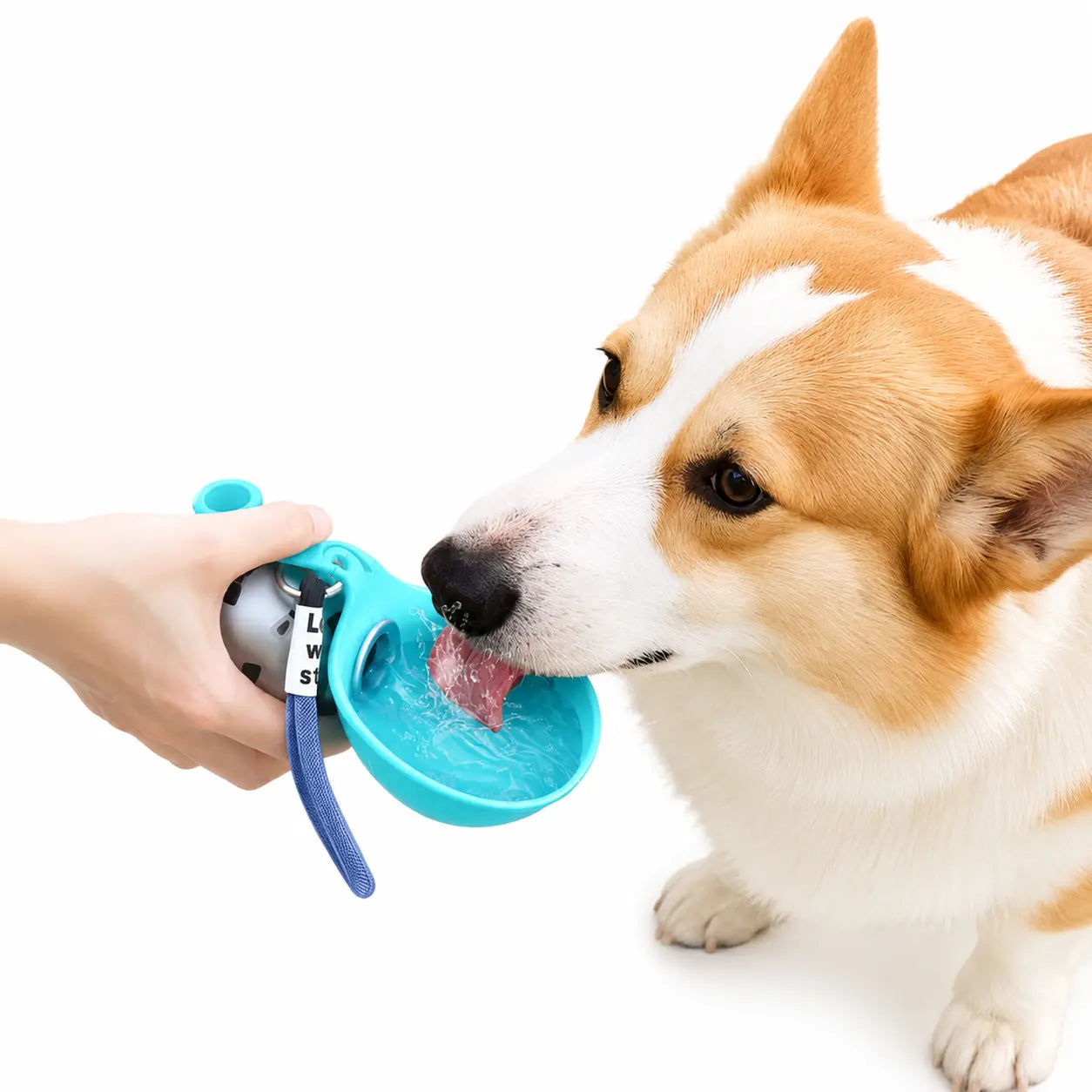 Durable & Spill-Proof Dog Water Dispenser – High-Quality, Long-Lasting Portable Bottle for All-Terrain Travel, Easy Single-Handed Operation, Guaranteed Leak-Free Performance