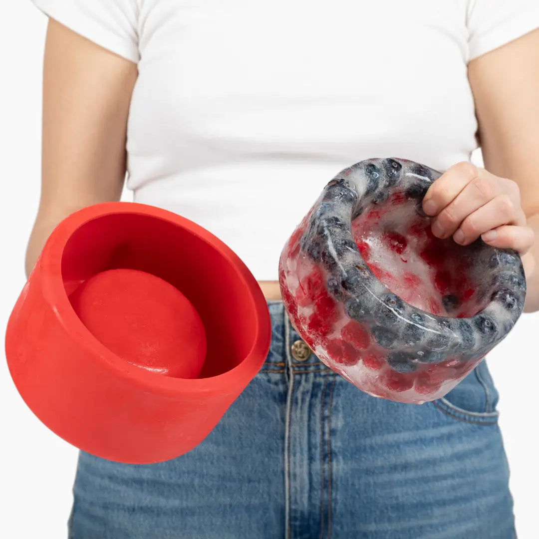 Freeze-Your-Own Dog Treat Bowl
