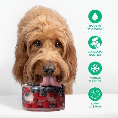 Freeze-Your-Own Dog Treat Bowl