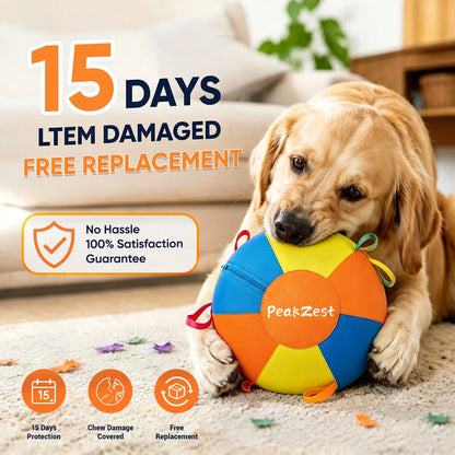 Interactive Herding Ball for Dogs, Bite Resistant Inflatable Dog Ball Set with Cover and Pump, Outdoor Exercise Toy Gift