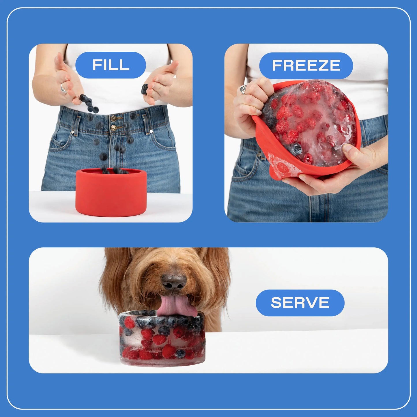 Freeze-Your-Own Dog Treat Bowl