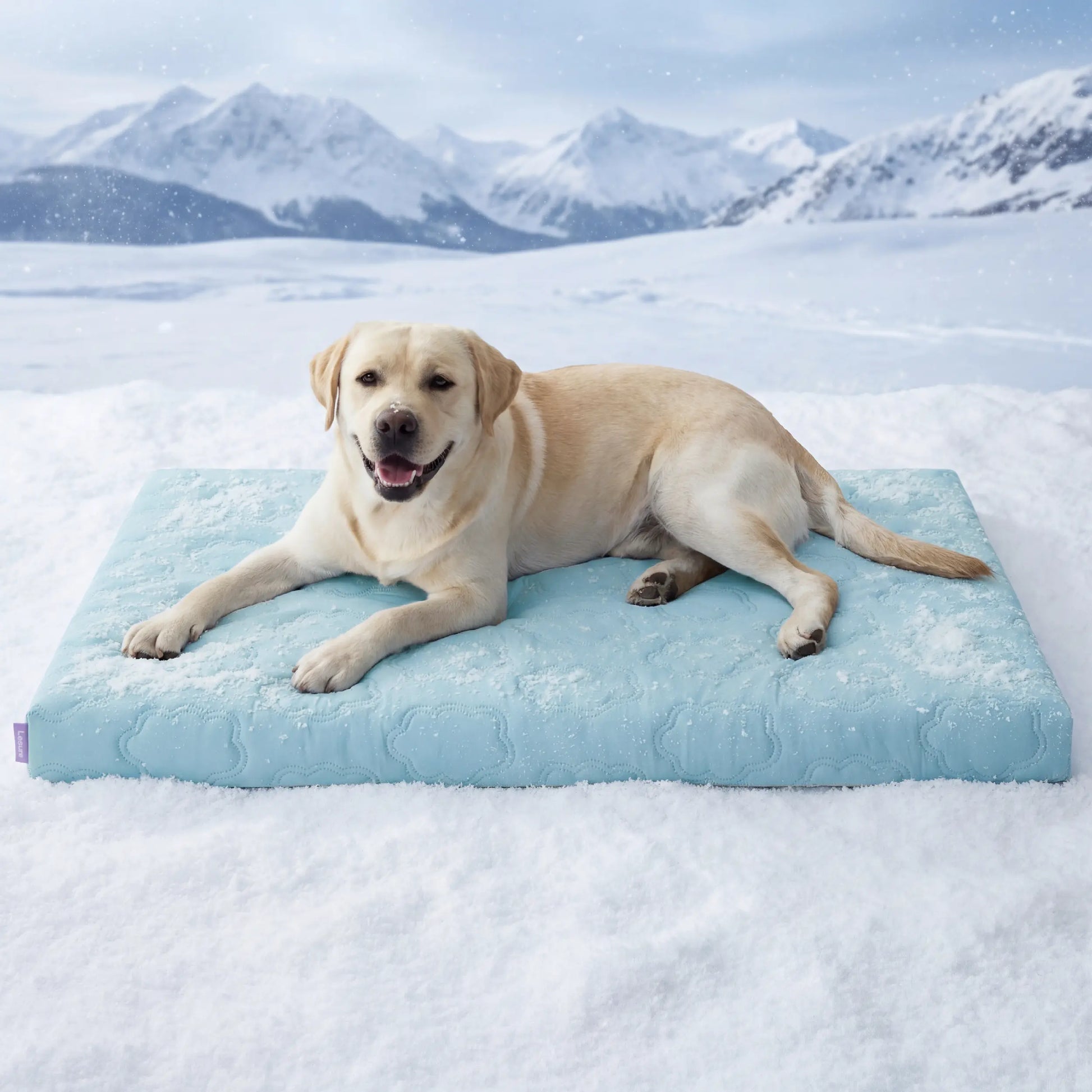 Bedsure Dog Cooling Blanket — Keeps Pets Cool, Lightweight Design, Breathable & Washable